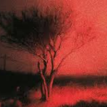 Album Baru Musisi Dunia Paling Dinanti Tahun 2026 Mendatang